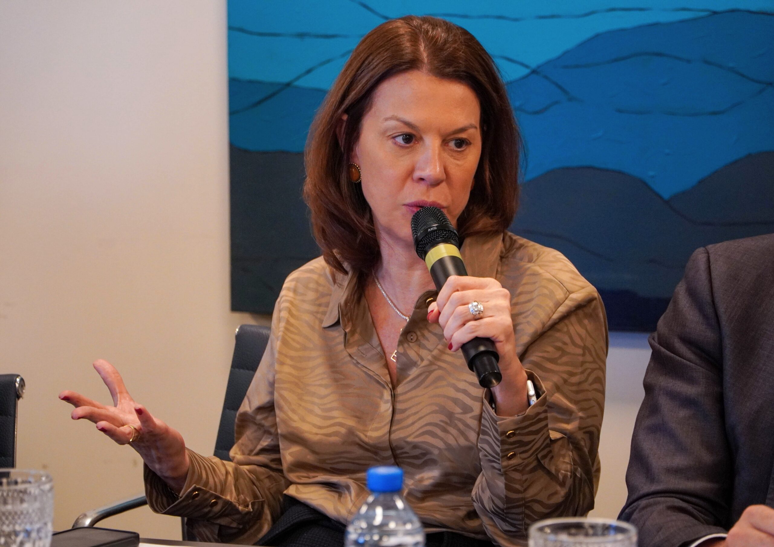 Presidente Eunice Haddad trata da proposta de reforma do Judiciário em Brasília